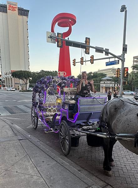 Yellow Rose Carriage Co.