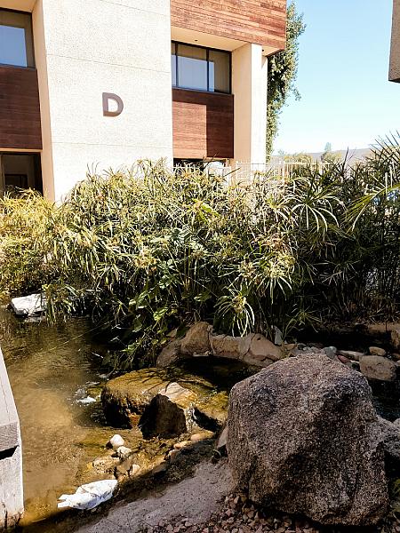 Arizona Dermatology Cosmetic Center
