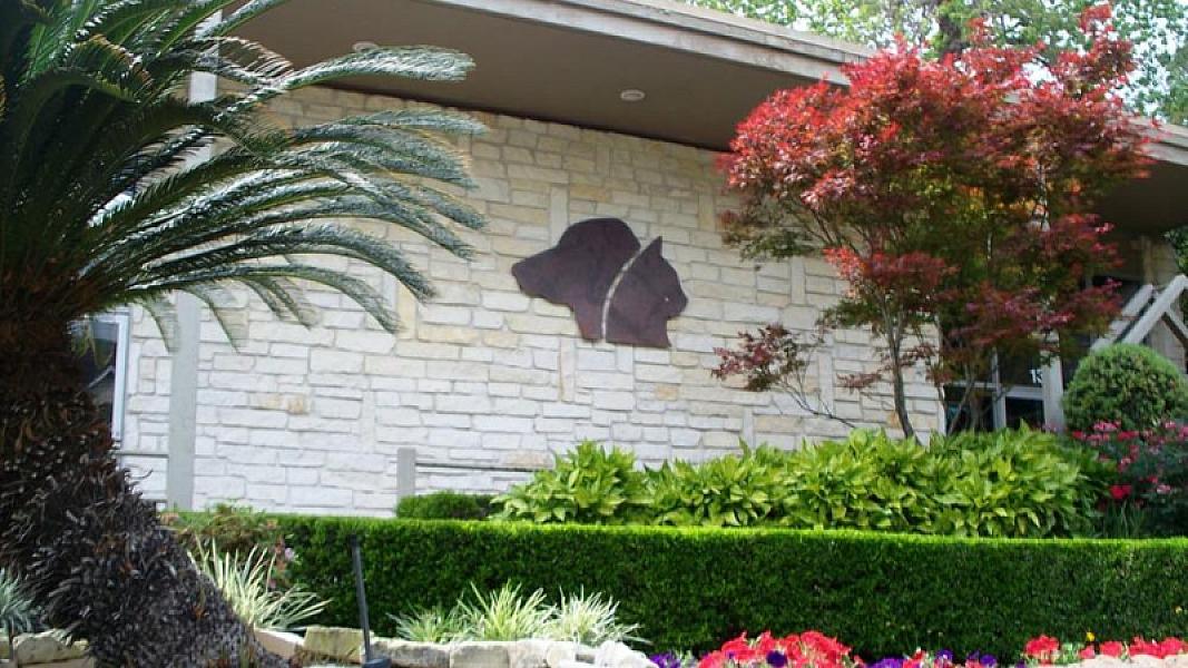 Neartown Animal Clinic