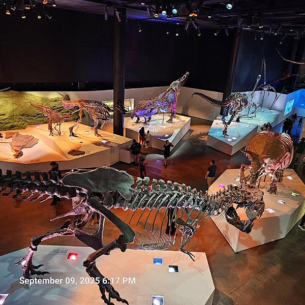 Houston Museum-Natural Science