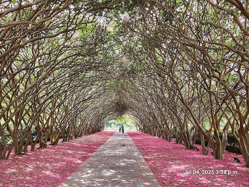 Dallas Arboretum & Botanical Society Inc