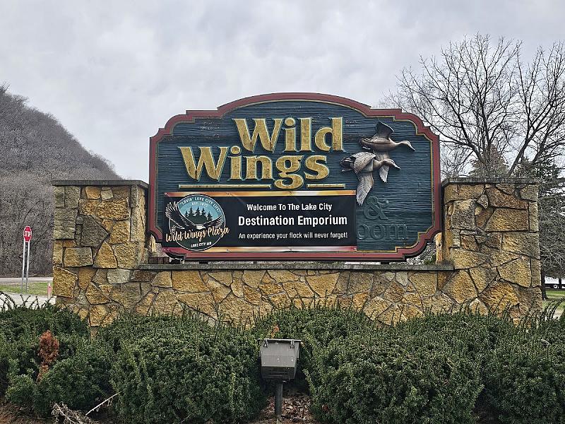 Wild Wings