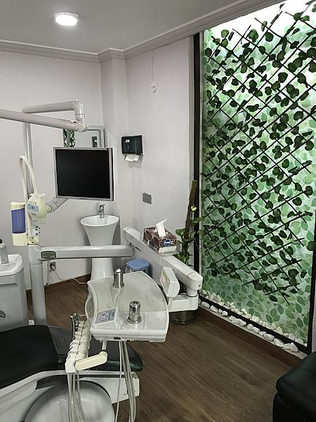 Consultants in Dental Aesthetics