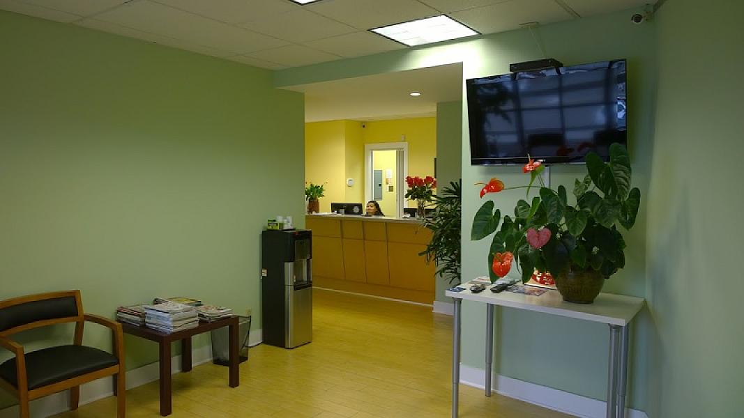 Tiffany Mai Nguyen, DDS