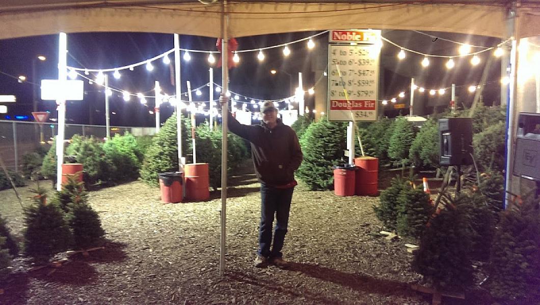 christmas tree jamboree
