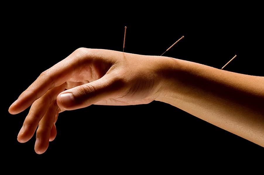 American College of Acupuncture & Oriental Medicine (ACAOM)