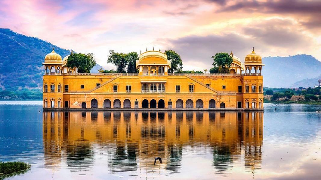 Pettitts Travel