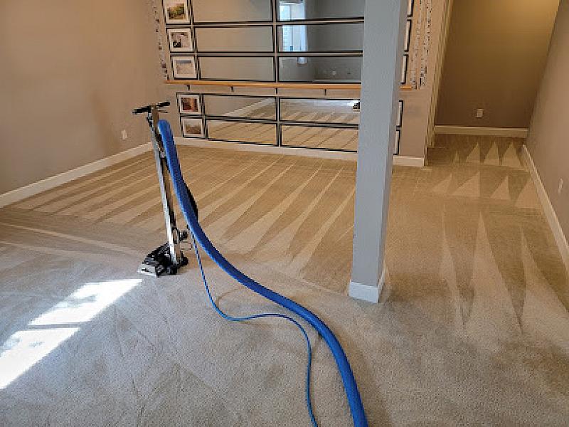 Magic Steam Carpet Cleaning